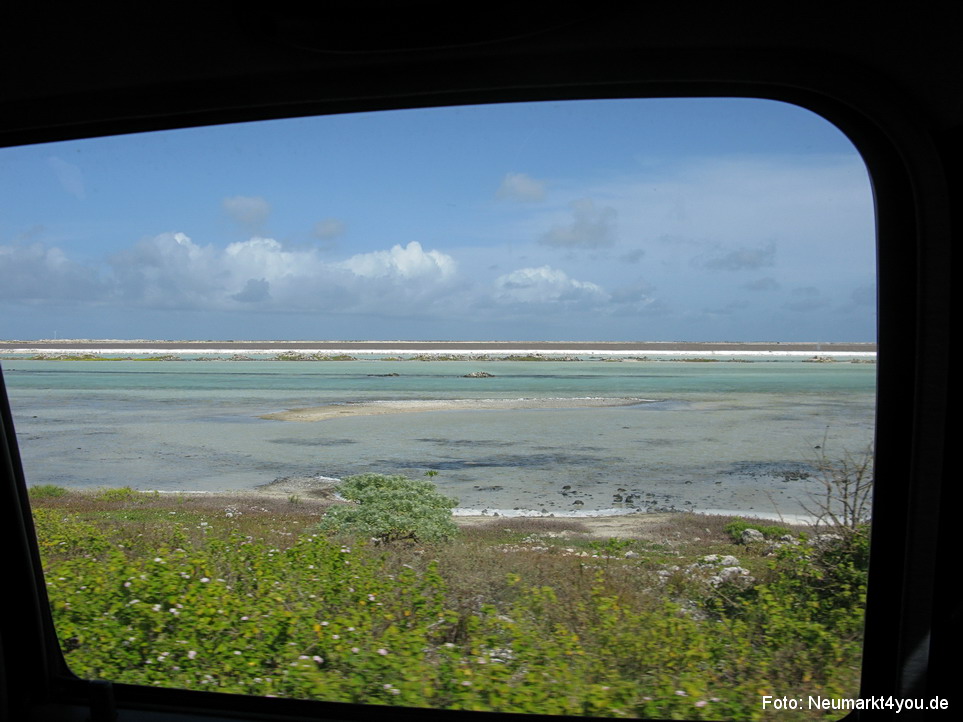 0027 Insel Bonaire 2009